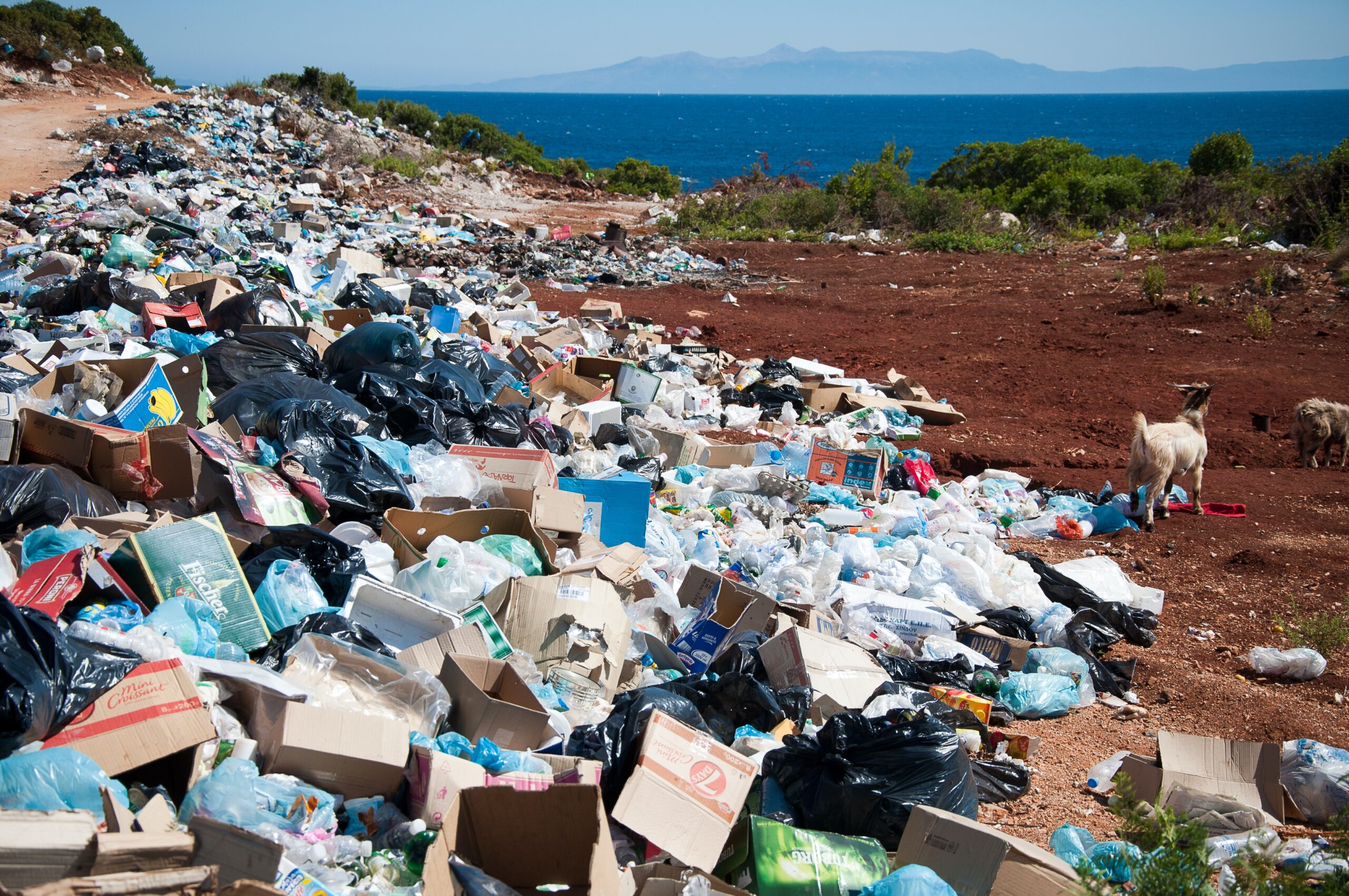 Resíduos Sólidos & Reciclagem