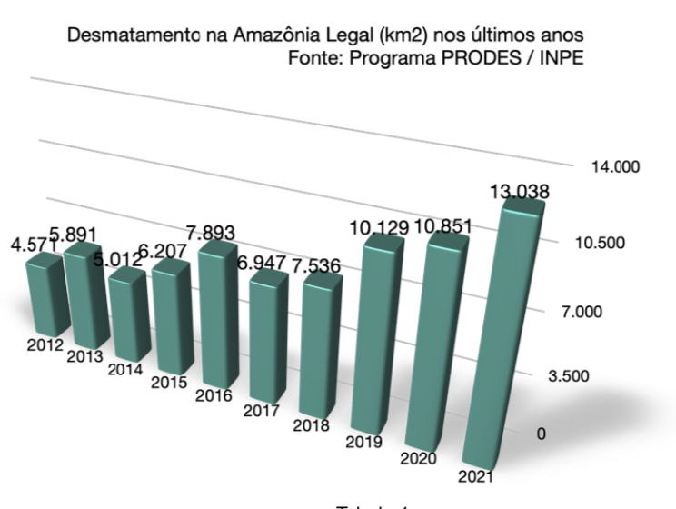 Crescente Desmatamento na Amazônia